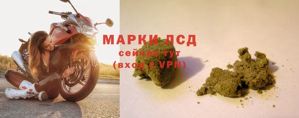 PSILOCYBIN Баксан